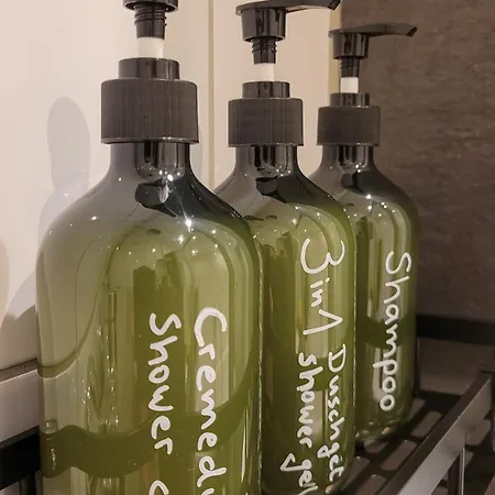 Gemuetliches Altbau-loft Mit Kamin Und Parkplatz Apartment *